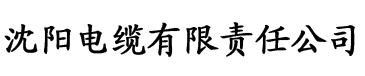 精品无码人妻一区二区三区不卡电缆厂logo